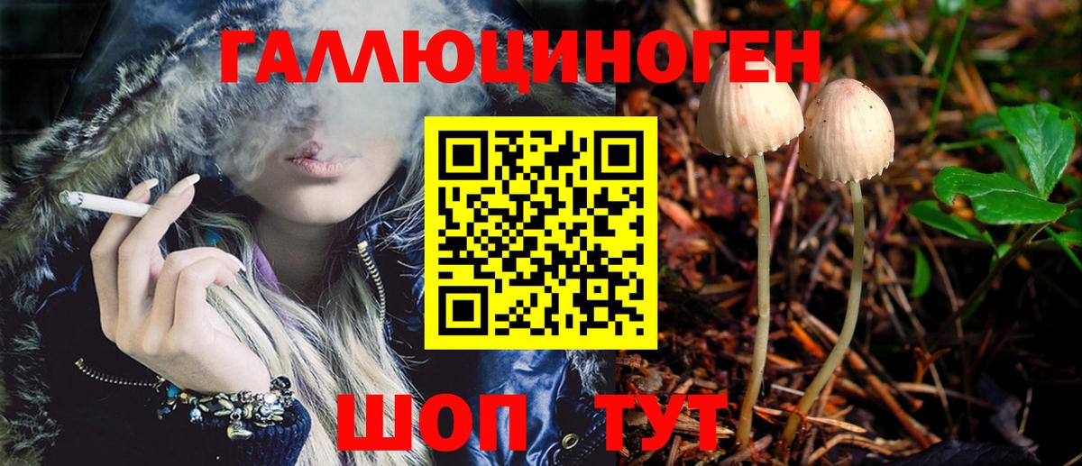 Галлюциногенные грибы Psilocybine cubensis Пенза